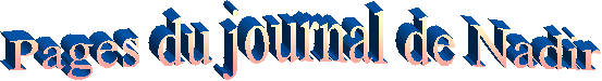 Pages du journal de Nadir